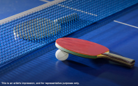 Adarsh Mayberry apartments Table Tennis